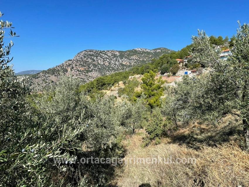 Land Zu Verkaufen in Gökbel Bz. Ortaca - Gehäuse-Zonierung - 3.514 m²