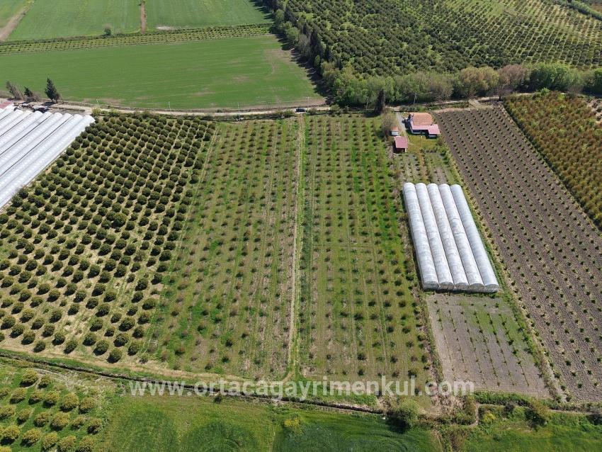 Feld Zu Verkaufen in Eskiköy Bz. Ortaca - Feld-Zonierung - 16.000 m²