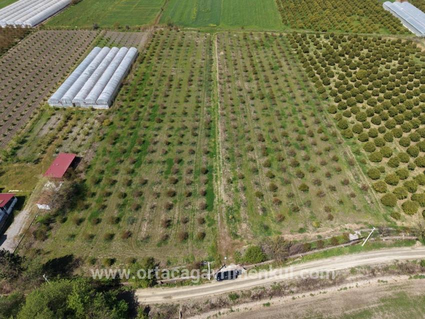 Feld Zu Verkaufen in Eskiköy Bz. Ortaca - Feld-Zonierung - 16.000 m²
