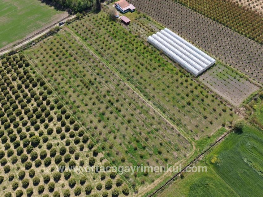 Feld Zu Verkaufen in Eskiköy Bz. Ortaca - Feld-Zonierung - 16.000 m²