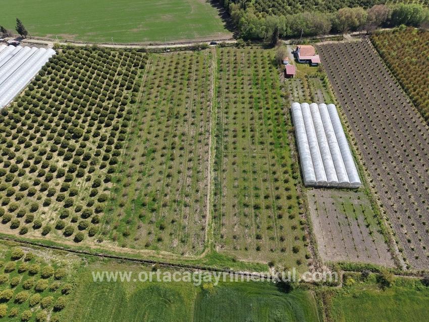 Feld Zu Verkaufen in Eskiköy Bz. Ortaca - Feld-Zonierung - 16.000 m²