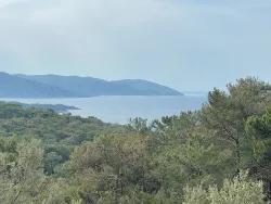 Feld Zu Verkaufen in Ekincik Bz. Köyceğiz - Olive-Zonierung - 7.000 m²