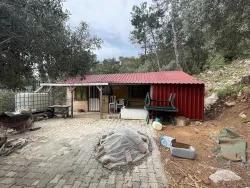 Feld Zu Verkaufen in Ekincik Bz. Köyceğiz - Olive-Zonierung - 7.000 m²