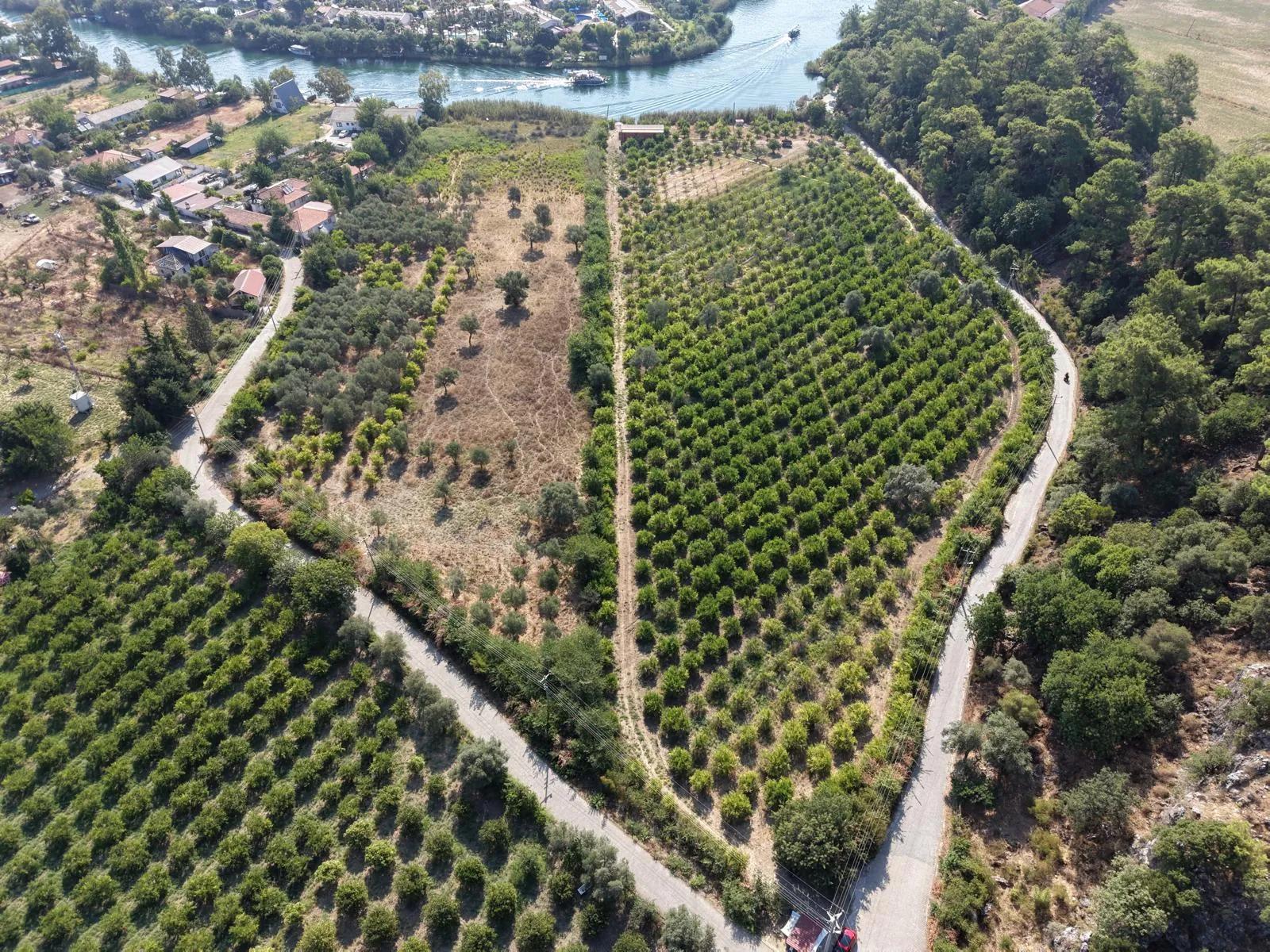 Village Of Köyceğiz Çandır Neighbourhood With Zero Channel 20,000m2 For Sale Land