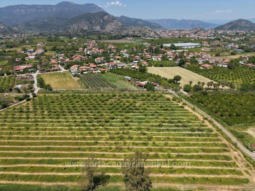 5100M2 Plot Of Land For Sale Near Dalyan Town Center.