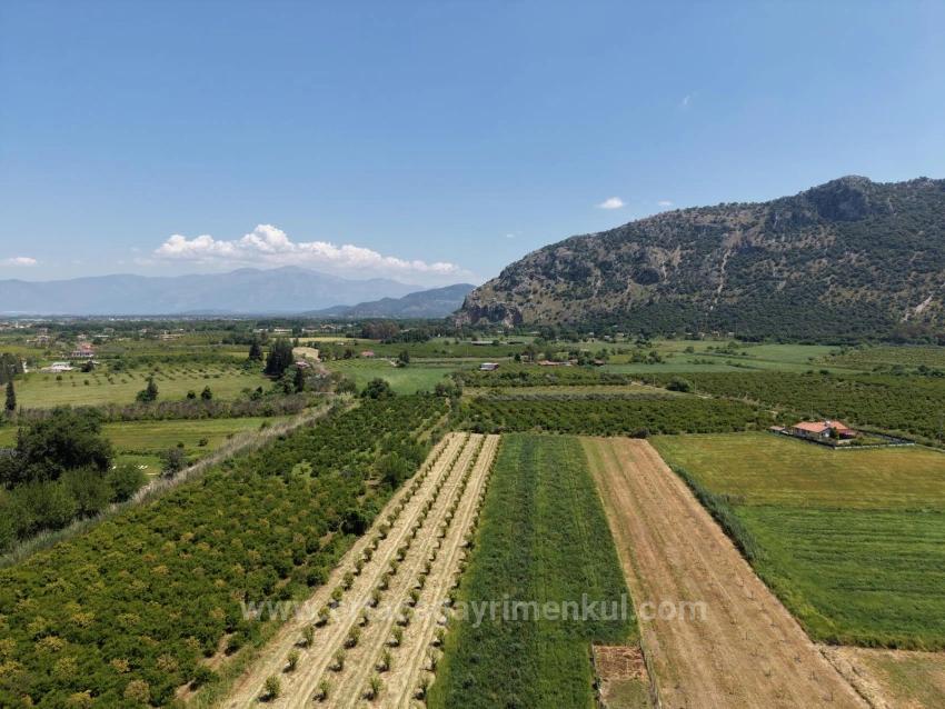 5100M2 Plot Of Land For Sale Near Dalyan Town Center.