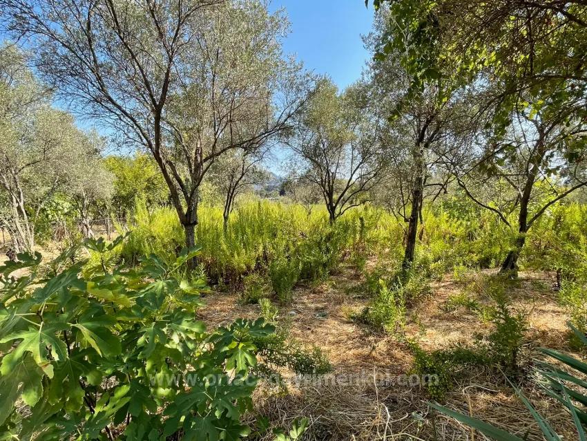 2765M2 Detached House For Sale In Çandır, Right Next To The Canal