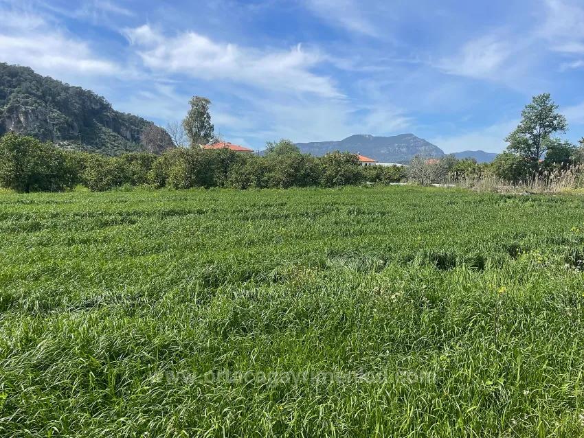 Archers' In Okçular'da 736M2 Olan 250M2 Construction Licensed For Sale Plot