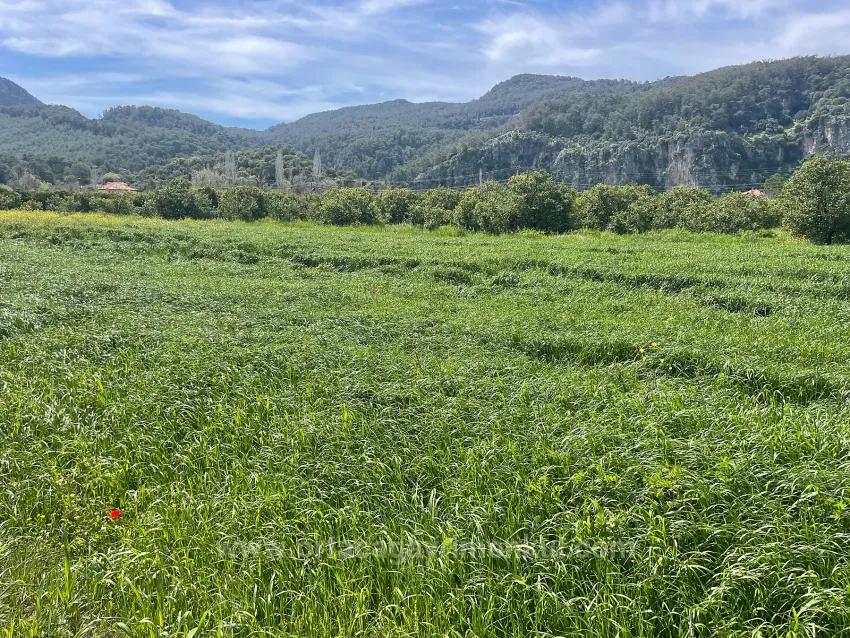 Archers' In Okçular'da 736M2 Olan 250M2 Construction Licensed For Sale Plot
