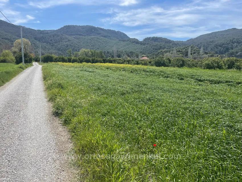 Archers' In Okçular'da 736M2 Olan 250M2 Construction Licensed For Sale Plot