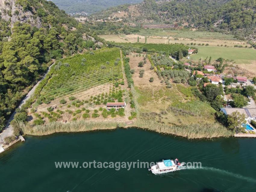 Field For Sale in Çandır Nbh. Köyceğiz - Field Zoned - 20.000 m²