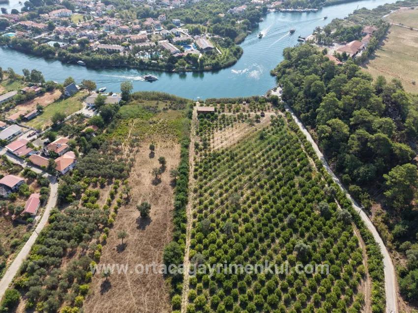 Field For Sale in Çandır Nbh. Köyceğiz - Field Zoned - 20.000 m²