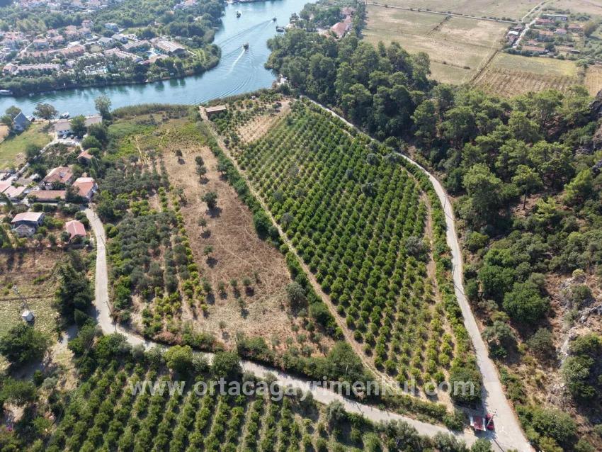 Field For Sale in Çandır Nbh. Köyceğiz - Field Zoned - 20.000 m²