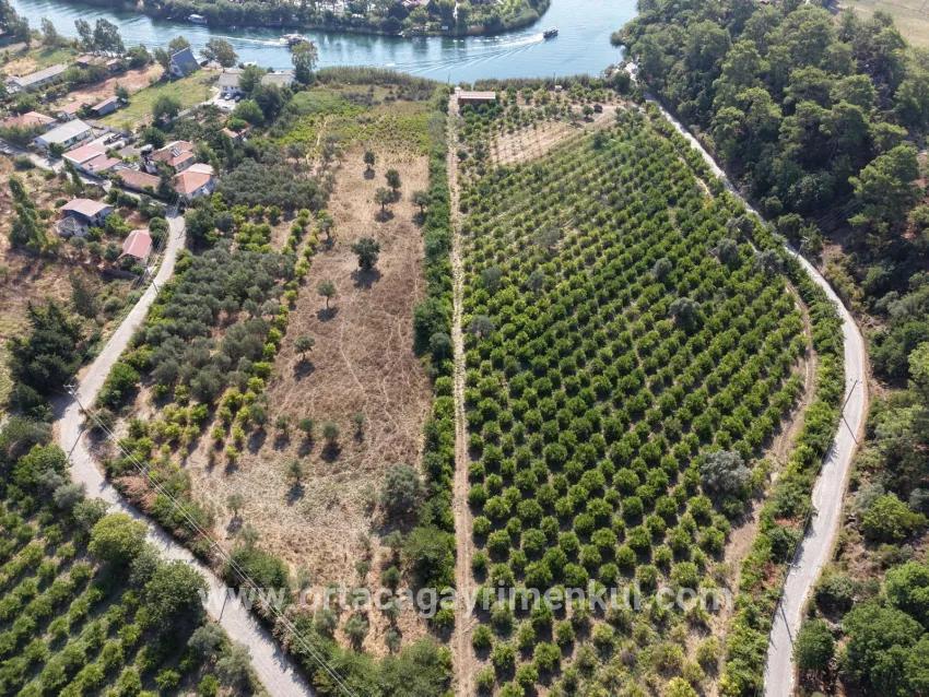 Field For Sale in Çandır Nbh. Köyceğiz - Field Zoned - 20.000 m²