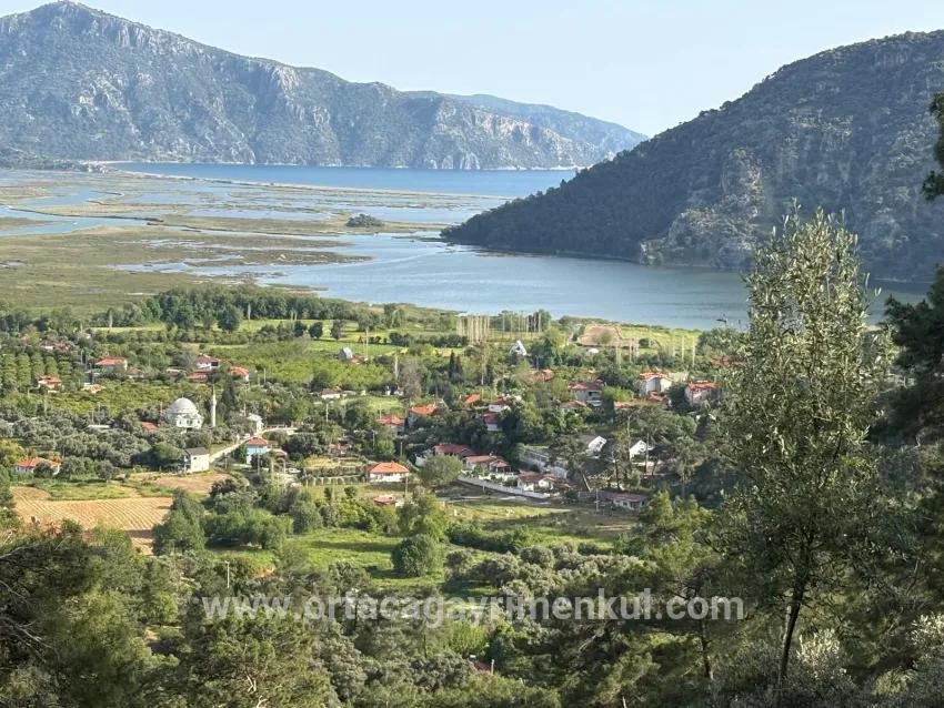 Field For Sale in Çandır Nbh. Köyceğiz - Field Zoned - 1.252 m²
