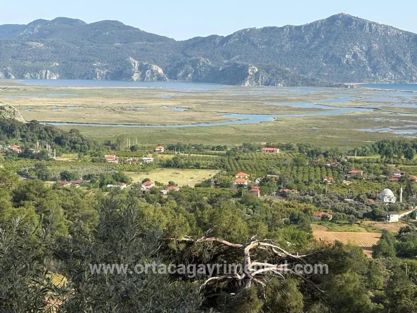 Field For Sale in Çandır Nbh. Köyceğiz - Field Zoned - 1.252 m²