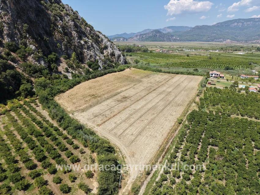 Field For Sale in Dalyan Nbh. Ortaca - Field Zoned - 20.786 m²