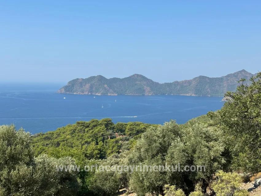 Field For Sale in Çandır Nbh. Köyceğiz - Field Zoned - 21.000 m²