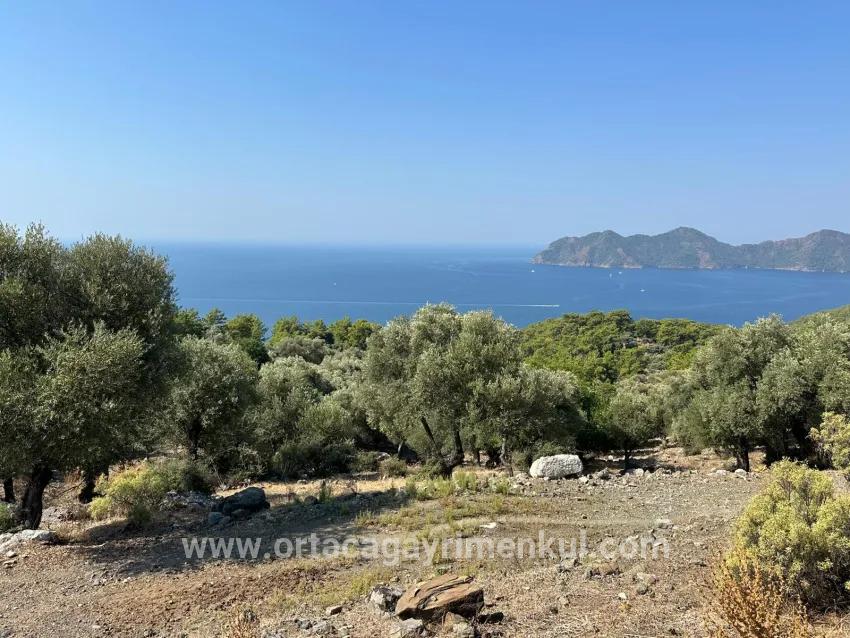 Field For Sale in Çandır Nbh. Köyceğiz - Field Zoned - 21.000 m²