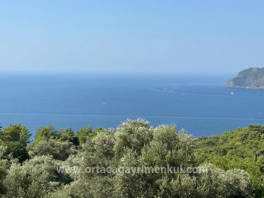 Field For Sale in Çandır Nbh. Köyceğiz - Field Zoned - 21.000 m²