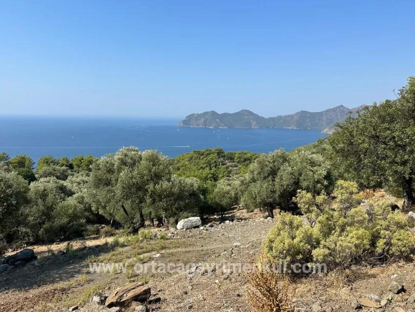Field For Sale in Çandır Nbh. Köyceğiz - Field Zoned - 21.000 m²