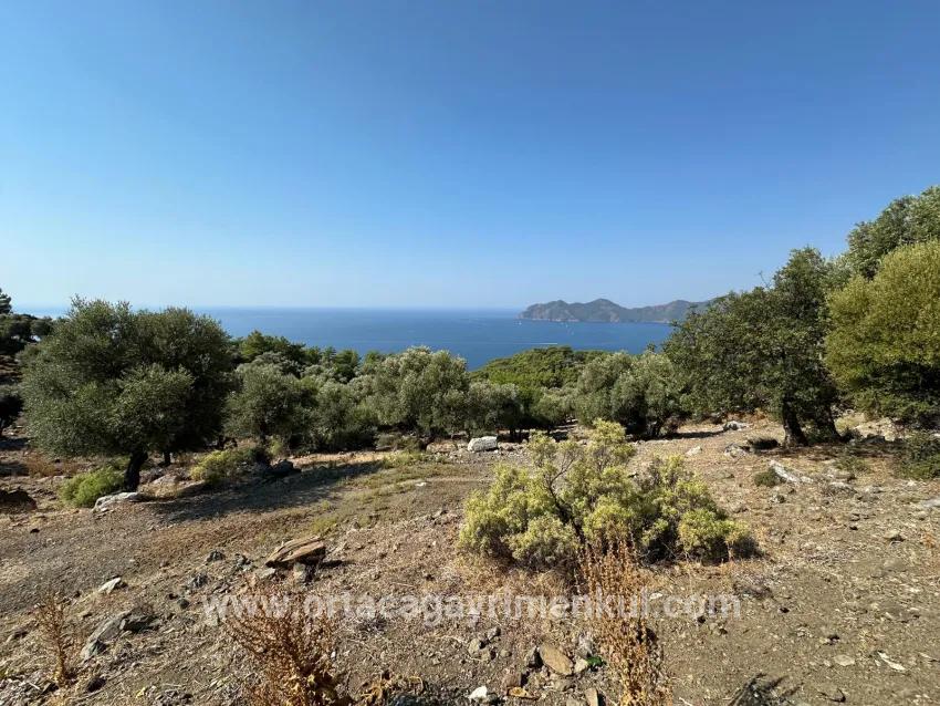 Field For Sale in Çandır Nbh. Köyceğiz - Field Zoned - 21.000 m²