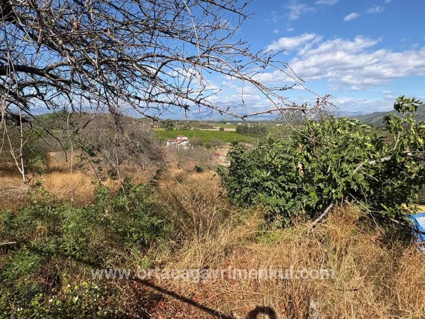 Field For Sale in Dalyan Nbh. Ortaca - Field Zoned - 5.000 m²