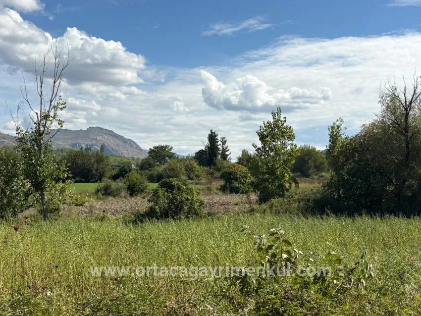 Field For Sale in Zeytinalanı Nbh. Köyceğiz - Field Zoned - 10.500 m²