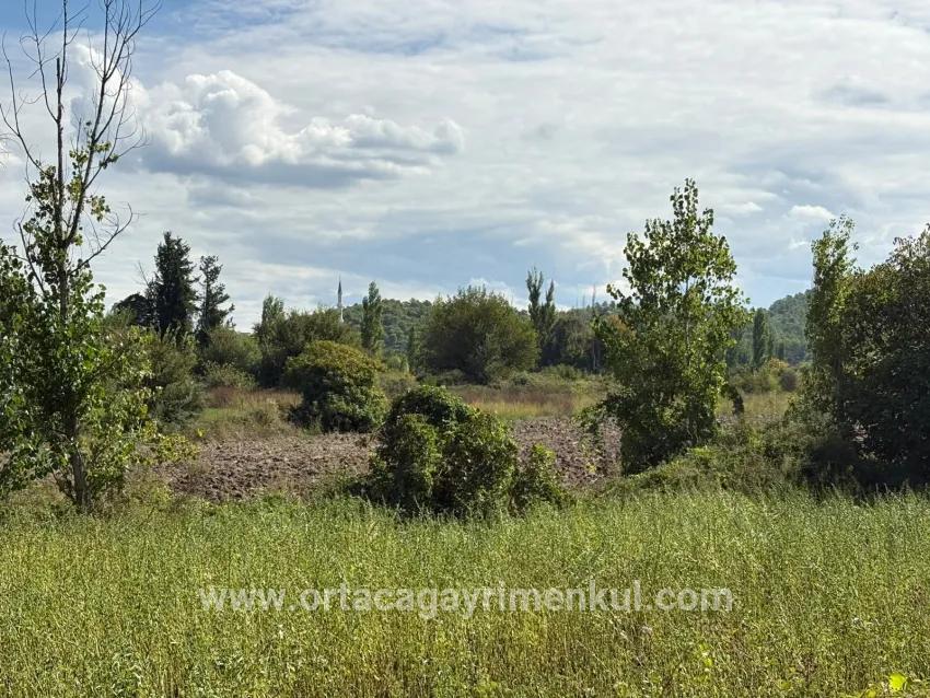 Field For Sale in Zeytinalanı Nbh. Köyceğiz - Field Zoned - 10.500 m²