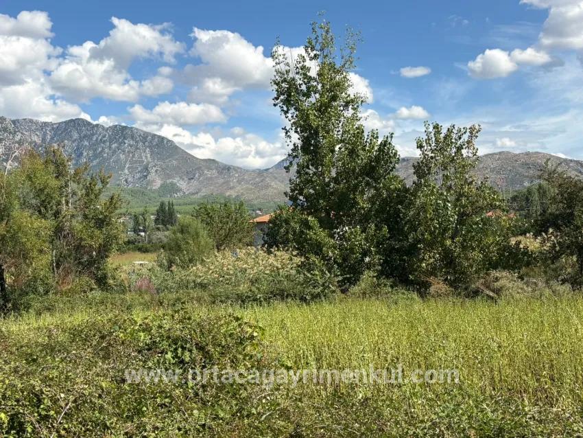 Field For Sale in Zeytinalanı Nbh. Köyceğiz - Field Zoned - 10.500 m²