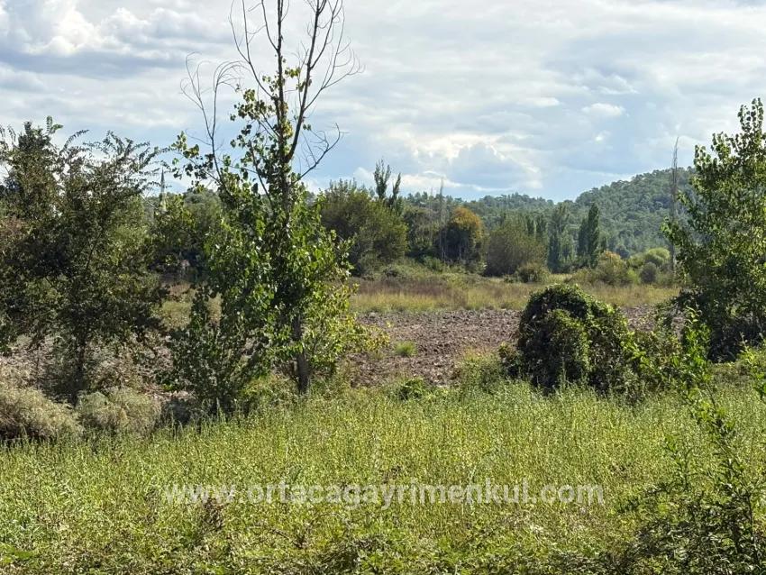 Field For Sale in Zeytinalanı Nbh. Köyceğiz - Field Zoned - 10.500 m²