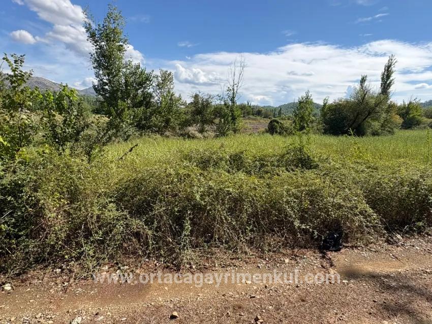 Field For Sale in Zeytinalanı Nbh. Köyceğiz - Field Zoned - 10.500 m²