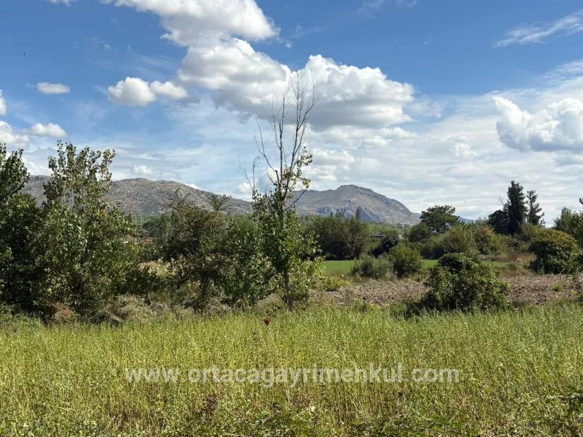 Field For Sale in Zeytinalanı Nbh. Köyceğiz - Field Zoned - 10.500 m²