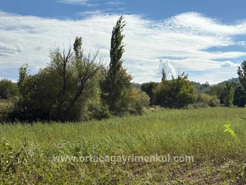 Field For Sale in Zeytinalanı Nbh. Köyceğiz - Field Zoned - 10.500 m²