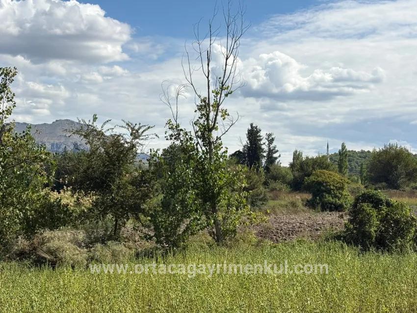 Field For Sale in Zeytinalanı Nbh. Köyceğiz - Field Zoned - 10.500 m²