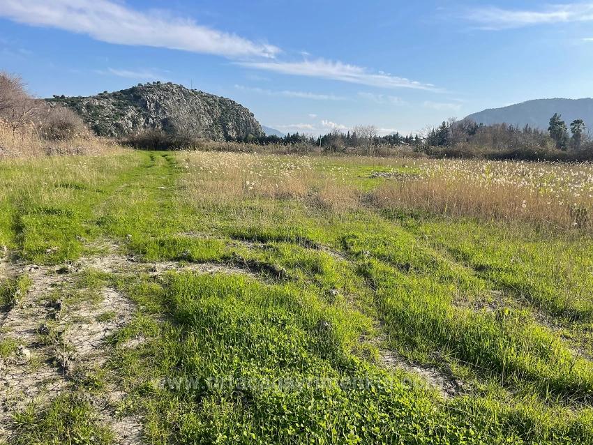 6800 M2 Plot Of Land For Sale In Dalyan With 5% Residential Zoning.