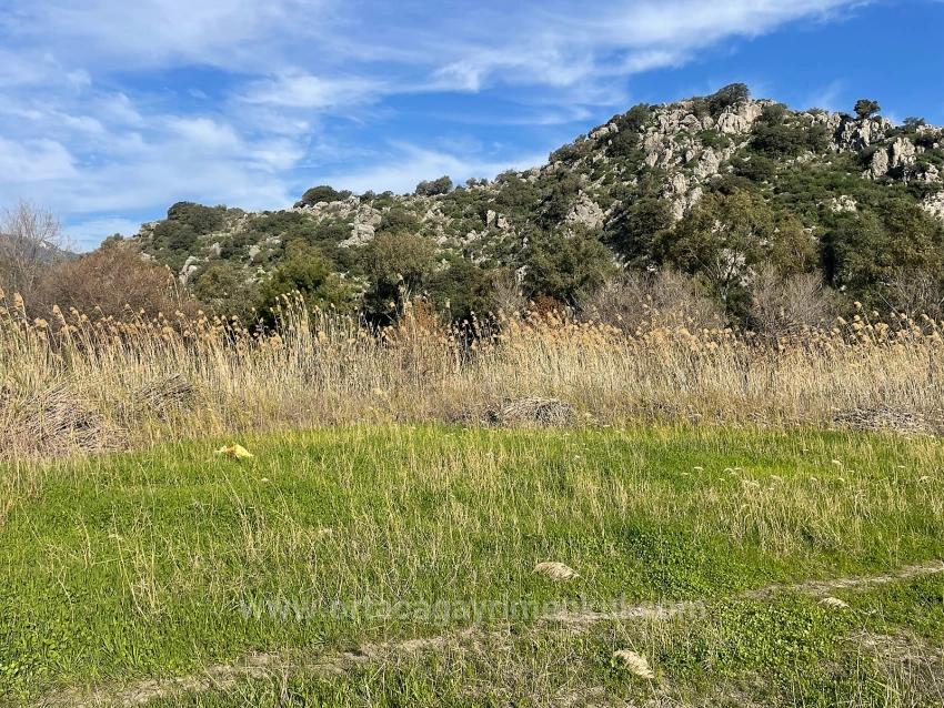 6800 M2 Plot Of Land For Sale In Dalyan With 5% Residential Zoning.