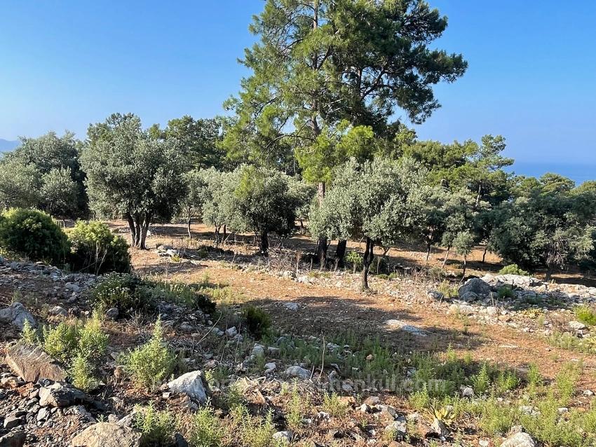 Bargain Real Estate Land For Sale With Sea View In Ekincik Çandır Arasın