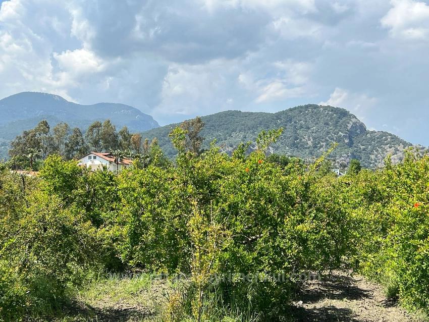 5,100 M² Plot Of Land For Sale In Dalyan, Maraş Area, Zoned For 5% Residential Use.
