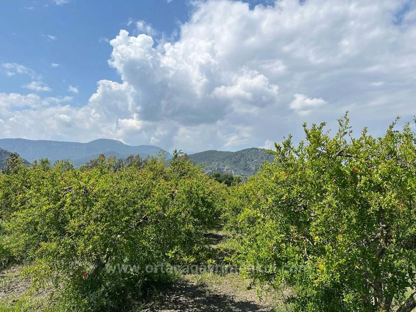 5,100 M² Plot Of Land For Sale In Dalyan, Maraş Area, Zoned For 5% Residential Use.