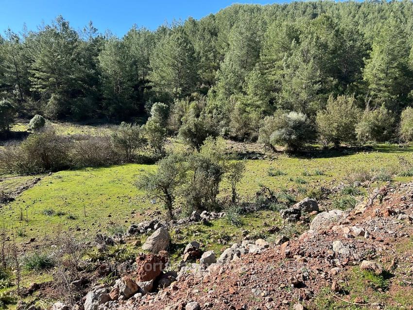 Land For Sale In Gökbel, Surrounded By Nature And Forest.