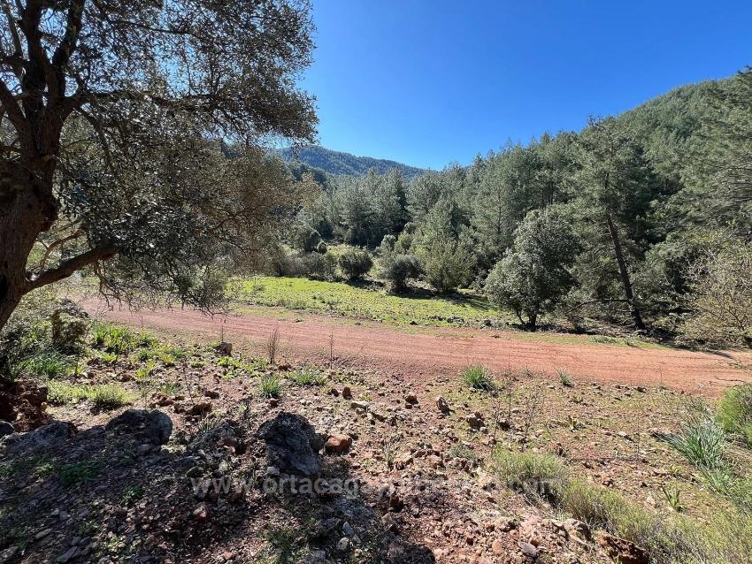 Land For Sale In Gökbel, Surrounded By Nature And Forest.