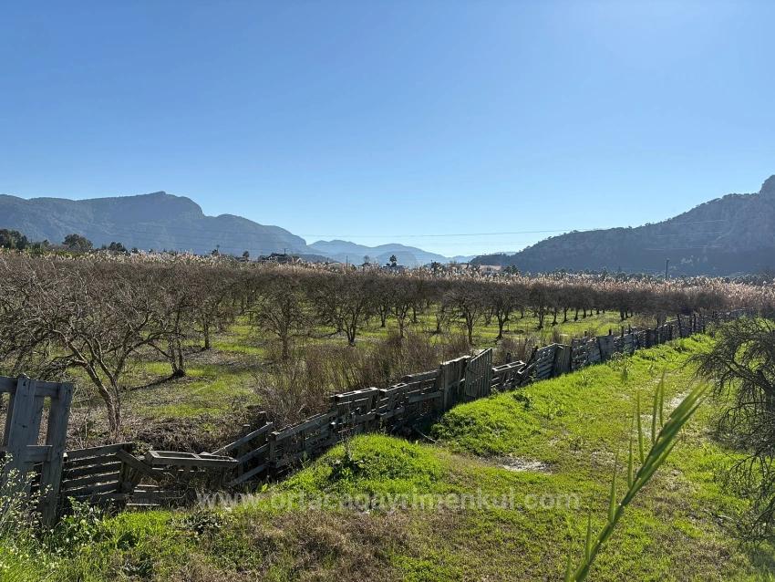 5985M2 Plot Of Land For Sale In Dalyan, Zoned For 5% Vineyard/Orchard Use.