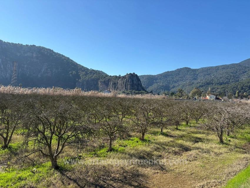 5985M2 Plot Of Land For Sale In Dalyan, Zoned For 5% Vineyard/Orchard Use.