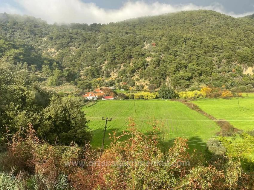 Terrain For Sale in Çandır Nbh. Köyceğiz - Field Zoned - 35.000 m²