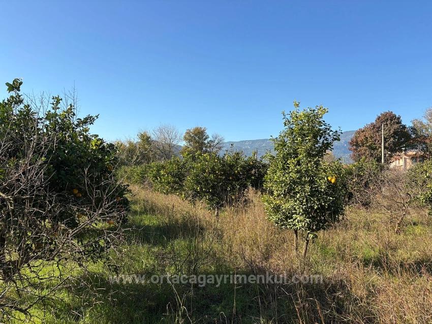 4,541 M² Garden For Sale In Dalyan.