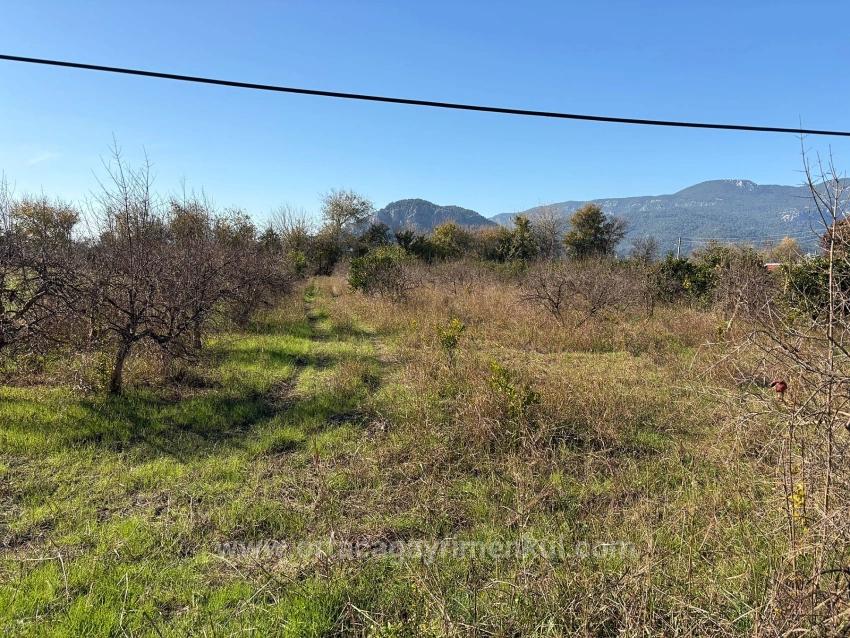 4,541 M² Garden For Sale In Dalyan.