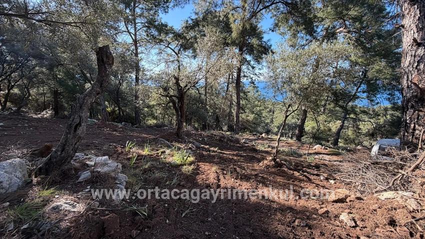 Field For Sale in Çandır Nbh. Köyceğiz - Housing Zoned - 5.715 m²