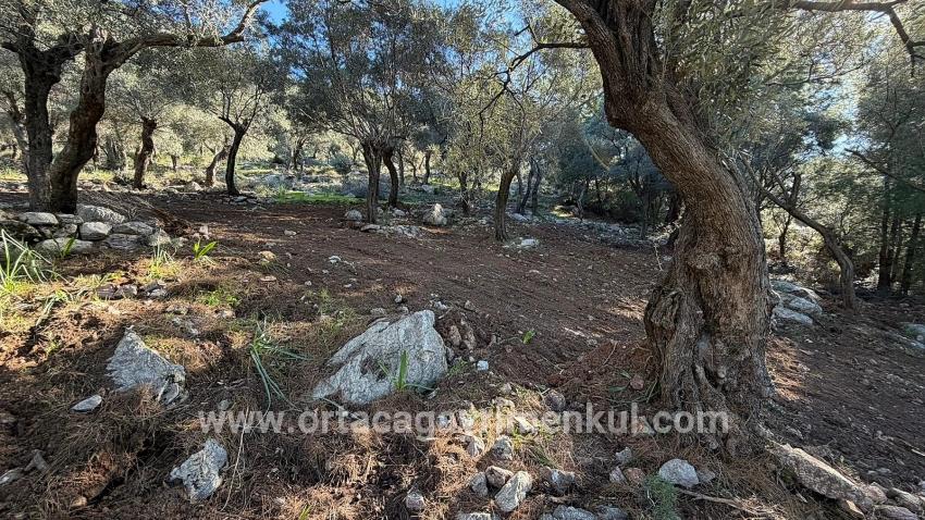 Field For Sale in Çandır Nbh. Köyceğiz - Housing Zoned - 5.715 m²