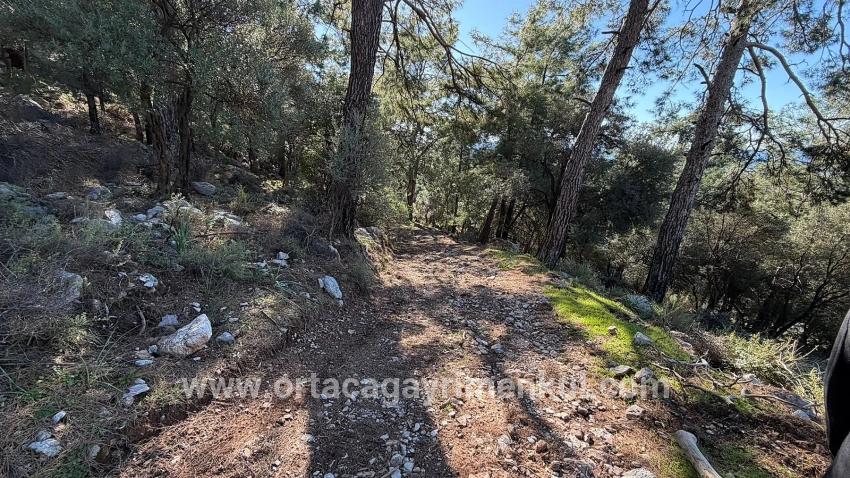 Field For Sale in Çandır Nbh. Köyceğiz - Housing Zoned - 5.715 m²